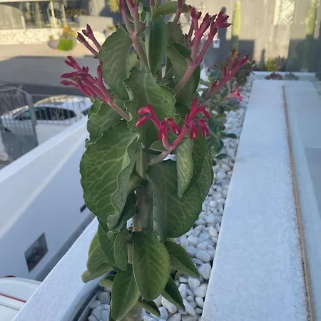 וילה Casa Fariones *