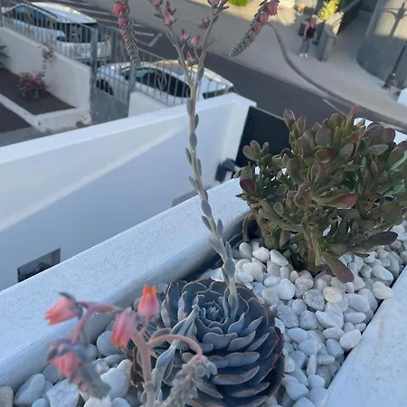 וילה Casa Fariones פוארטו דל כרמן